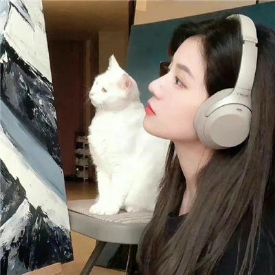 摩洛哥机智生活